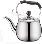 stainless steel kettle 3L