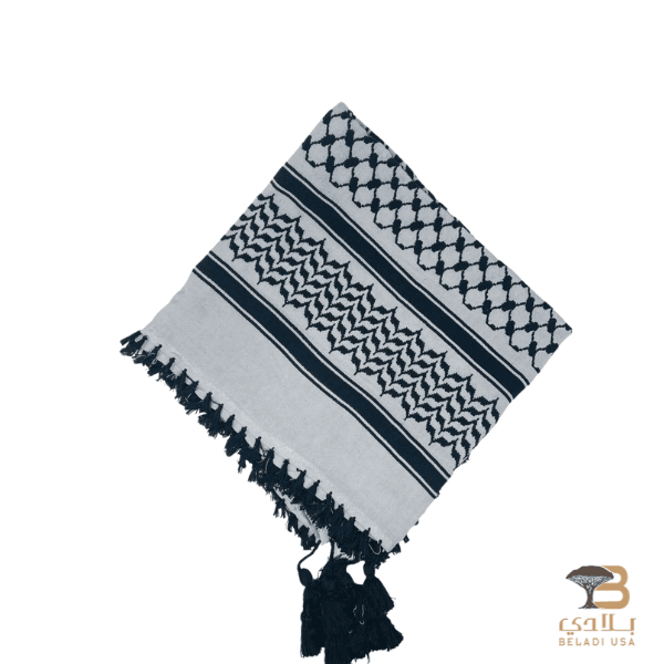 7 Kashmiri Shawl - Image 1