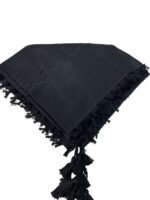Kashmiri Shawl - Image 2