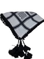 Kashmiri Shawl - Image 2