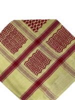 Kashmiri Shawl - Image 2
