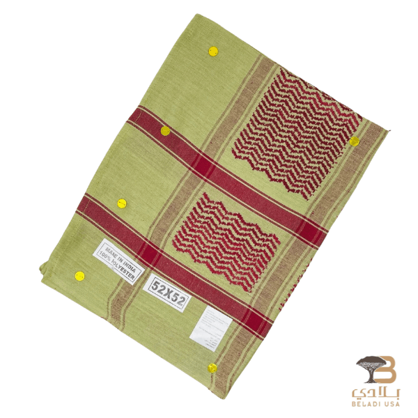 تصميم بدون عنوان - 2024-11-27T031747.296 Kashmiri Shawl - Image 1